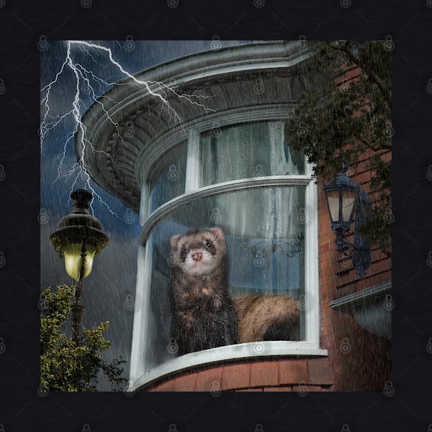 A Stormy Night Ferret - Window Ferrets art by BarbaraGlebska